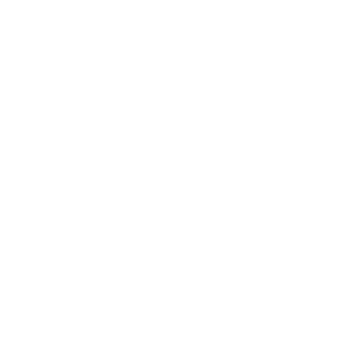 ICON1 ICON1
