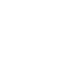 ICON2 ICON2