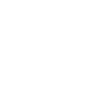 ICON3 ICON3